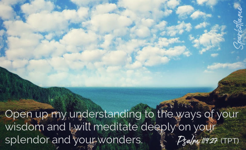 Live, Grow, Understand